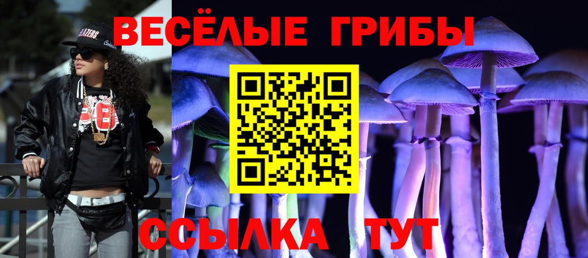 Псилоцибиновые грибы Psilocybine cubensis Дербент