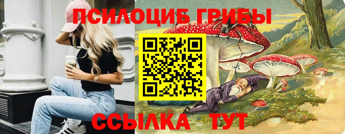 Псилоцибиновые грибы мухоморы  Псилоцибиновые грибы мицелий  Дербент  купить наркотики сайты  Вход с VPN 